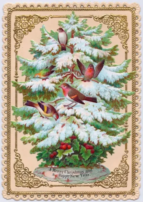 Framed Print : Tree with frosted leaves on a Christmas and New Year card Framed Print : Tree with frosted leaves on a Christmas and New Year card