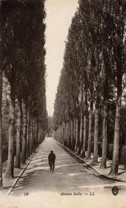 Framed Print : Tree-lined Avenue Sully, France Framed Print : Tree-lined Avenue Sully, France
