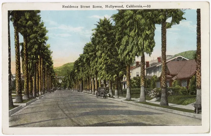 Framed Print : Tree-lined residential street, Hollywood, Los Angeles, California, USA Date: circa 1915 Framed Print : Tree-lined residential street, Hollywood, Los Angeles, California, USA Date: circa 1915