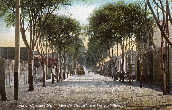 Tree-lined street in Chorrillos, Lima, Peru, South America