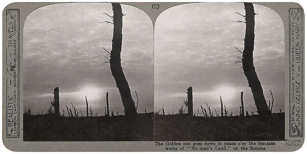 Tree stumps in no man's land at sunset, Somme, WW1