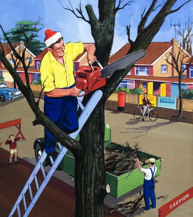 Framed Print : Tree surgeon Framed Print : Tree surgeon