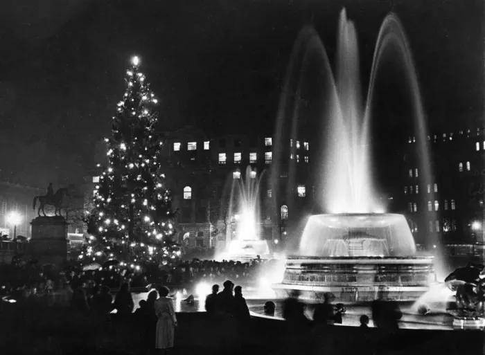 Framed Print : Tree in Trafalgar Square Framed Print : Tree in Trafalgar Square