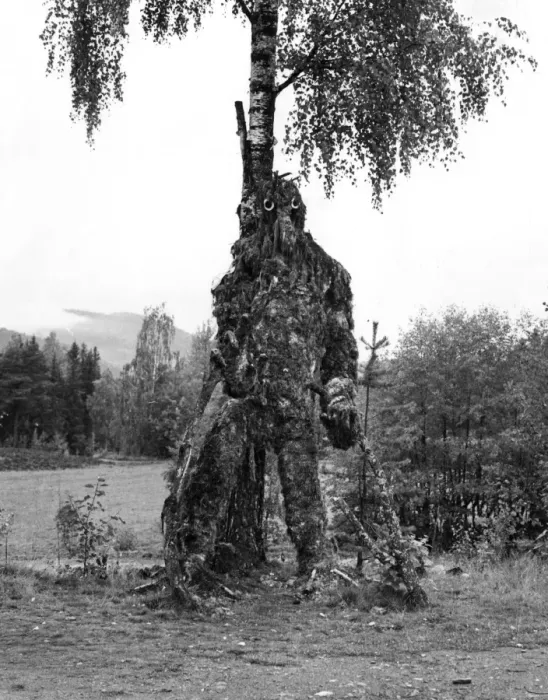 Framed Print : TREE TROLL Framed Print : TREE TROLL