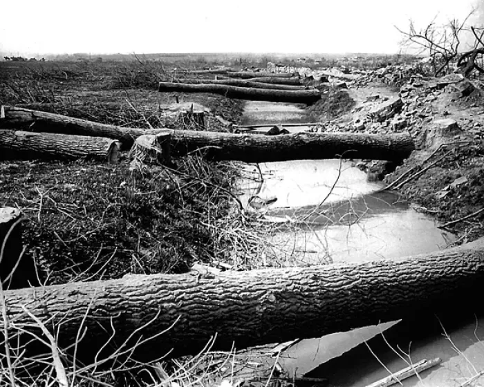 Framed Print : Tree trunks cut by Germans, Western Front, WW1 Framed Print : Tree trunks cut by Germans, Western Front, WW1