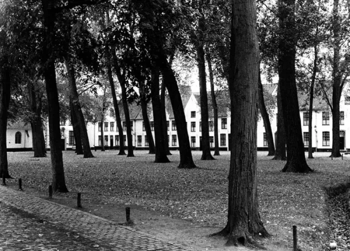 Framed Print : Trees and houses in Bruges, Belgium Framed Print : Trees and houses in Bruges, Belgium