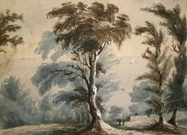 Trees possibly at St Donats Glamorganshire