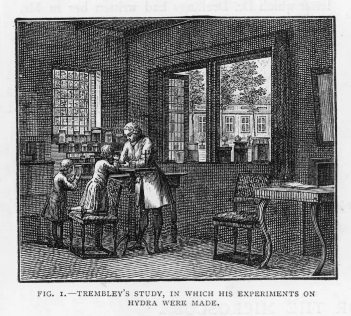 Framed Print : Trembley in his Study Framed Print : Trembley in his Study