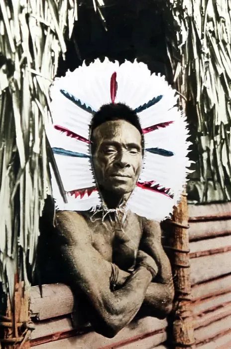 Framed Print : Tribal headdress, Papua New Guinea, Victorian period