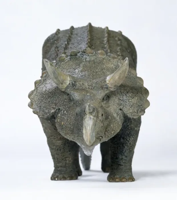 Framed Print : Triceratops Framed Print : Triceratops
