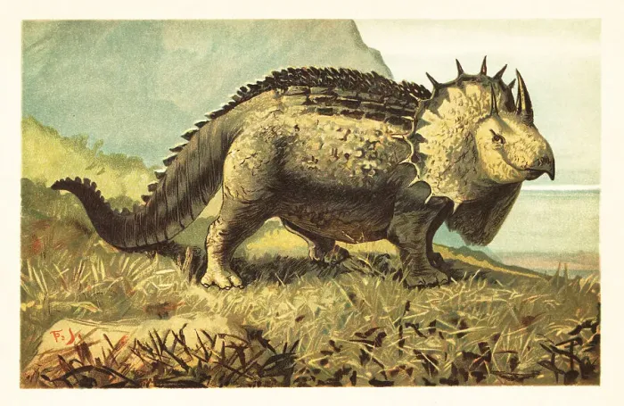 Framed Print : Triceratops prorsus, extinct herbivorous dinosaur Framed Print : Triceratops prorsus, extinct herbivorous dinosaur