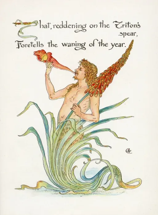 Framed Print : Triton's spear - Crane - Kniphofia Framed Print : Triton's spear - Crane - Kniphofia