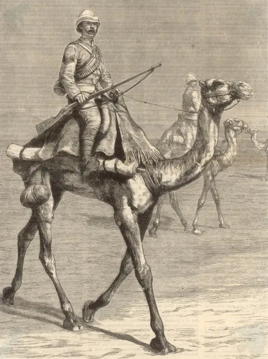 Framed Print : Trooper on a Camel / 1884 Framed Print : Trooper on a Camel / 1884
