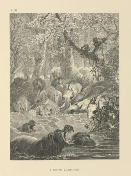 Framed Print : A Tropical Bathing-Place Framed Print : A Tropical Bathing-Place