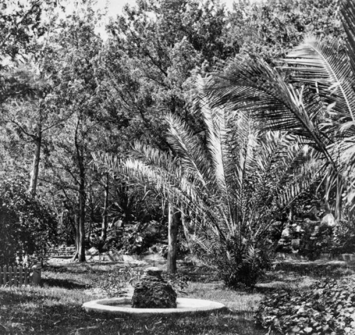 Framed Print : Tropical garden Framed Print : Tropical garden