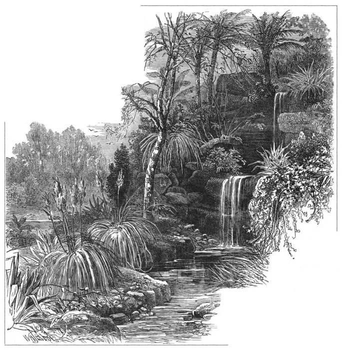 Framed Print : Tropical Gardens Battersea Framed Print : Tropical Gardens Battersea