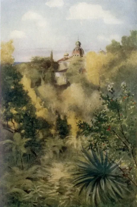 Framed Print : The Tropical Glen, Monserrate Framed Print : The Tropical Glen, Monserrate