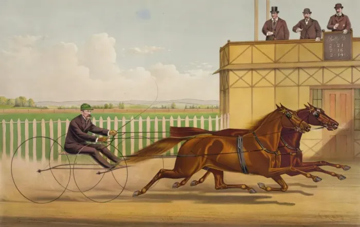 Framed Print : The trotting gelding Billy D. with Running Mate: owned by J Framed Print : The trotting gelding Billy D. with Running Mate: owned by J