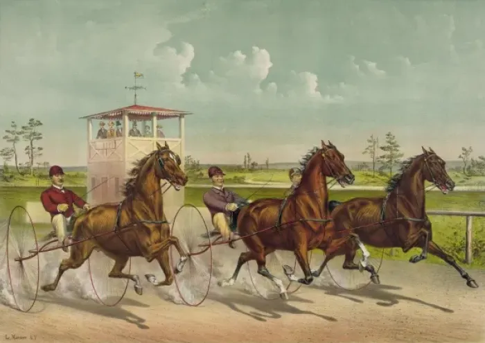 Framed Print : Trotting for a great stake Framed Print : Trotting for a great stake