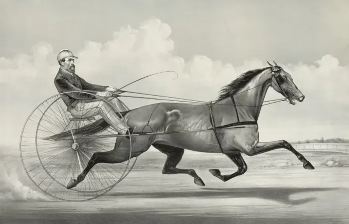 Framed Print : Trotting mare American Girl driven by M. Roden Framed Print : Trotting mare American Girl driven by M. Roden