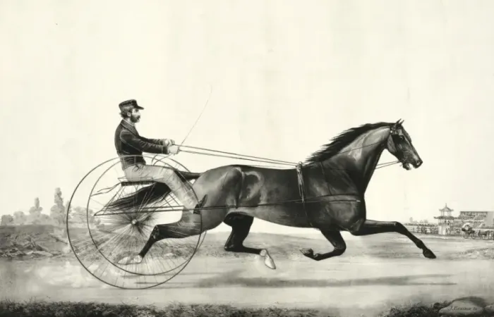 Framed Print : Trotting stallion Tom Moore driven by Danl. Mace: sired by H Framed Print : Trotting stallion Tom Moore driven by Danl. Mace: sired by H