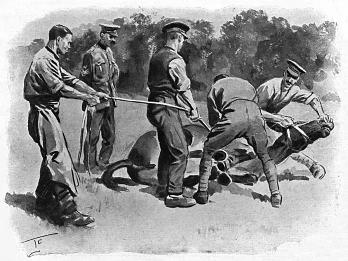 Framed Print : Trying to shoe a mule, WW1 Framed Print : Trying to shoe a mule, WW1