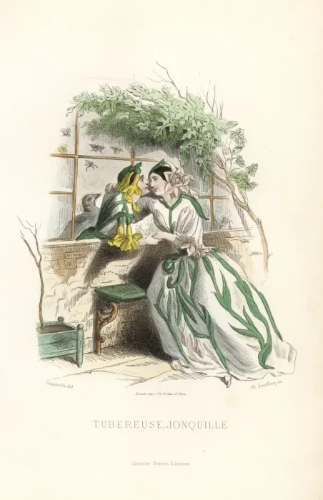 Framed Print : Tuberose and jonquil daffodil flower fairies Framed Print : Tuberose and jonquil daffodil flower fairies