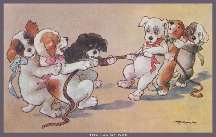 Framed Print : Tug of War Framed Print : Tug of War