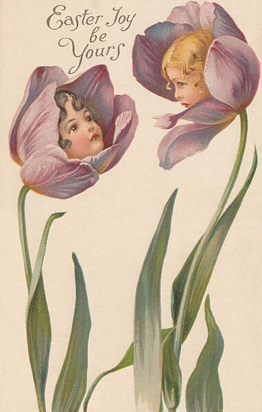 Tulip Flower Faces
