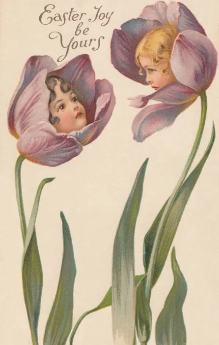Framed Print : Tulip Flower Faces Framed Print : Tulip Flower Faces