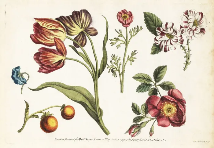 Framed Print : Tulips, dog roses, carnations and fruit Framed Print : Tulips, dog roses, carnations and fruit