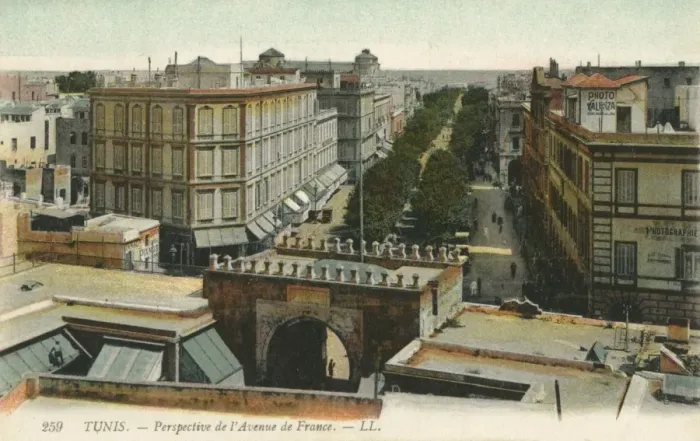 Framed Print : Tunis, Tunisia - Perspective of the L Avenue de France Framed Print : Tunis, Tunisia - Perspective of the L Avenue de France