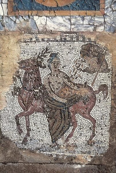 TUNISIA. Carthage. House of Horses. Roman art