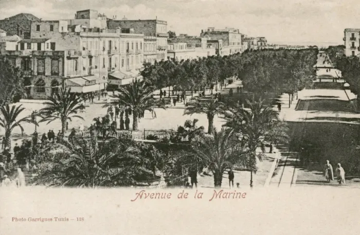 Framed Print : Tunisia - Tunis - Avenue de la Marine Framed Print : Tunisia - Tunis - Avenue de la Marine