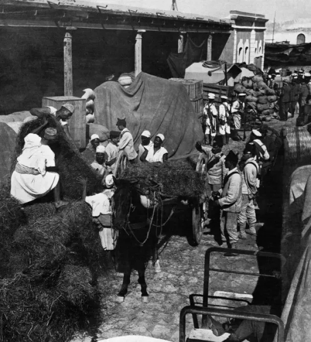 Framed Print : Turco-Italian War, 1911 - loading fodder for Italian troops Framed Print : Turco-Italian War, 1911 - loading fodder for Italian troops