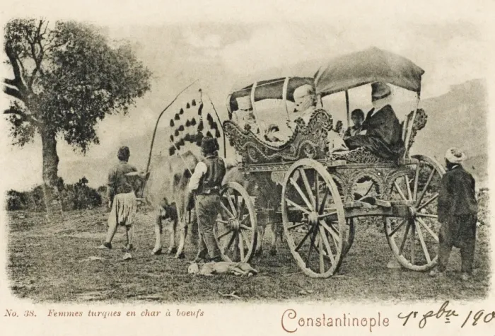 Framed Print : Turkish Woman in their wagon Framed Print : Turkish Woman in their wagon