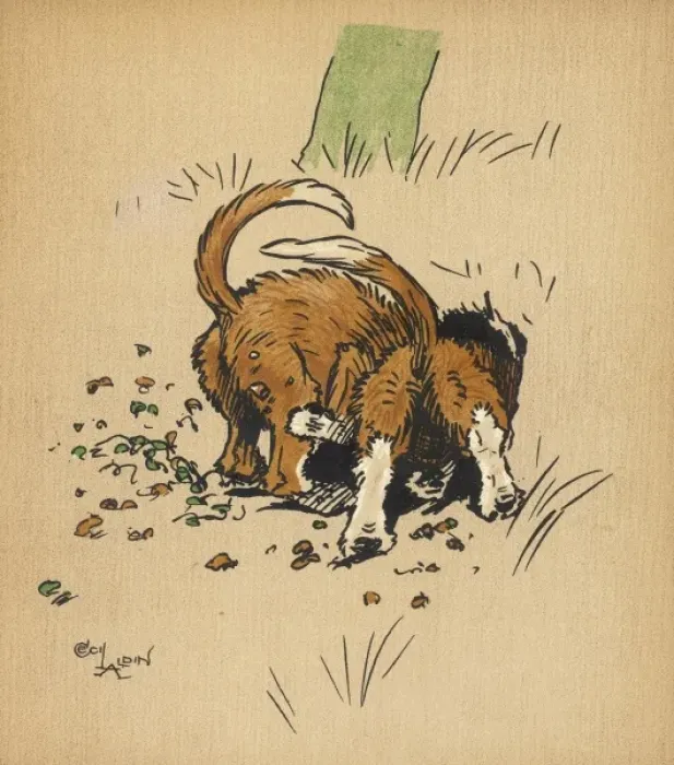Framed Print : Twin puppies burrow into rabbit hole Framed Print : Twin puppies burrow into rabbit hole