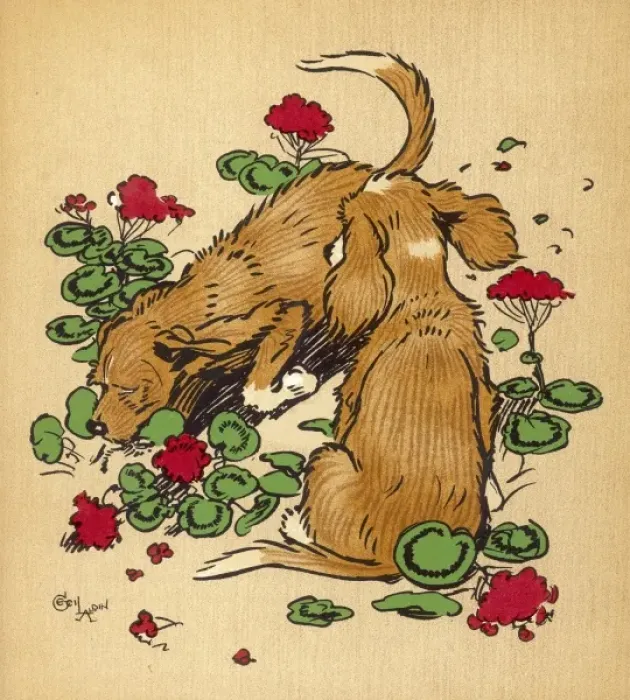 Framed Print : Twin puppies in geranium bed Framed Print : Twin puppies in geranium bed
