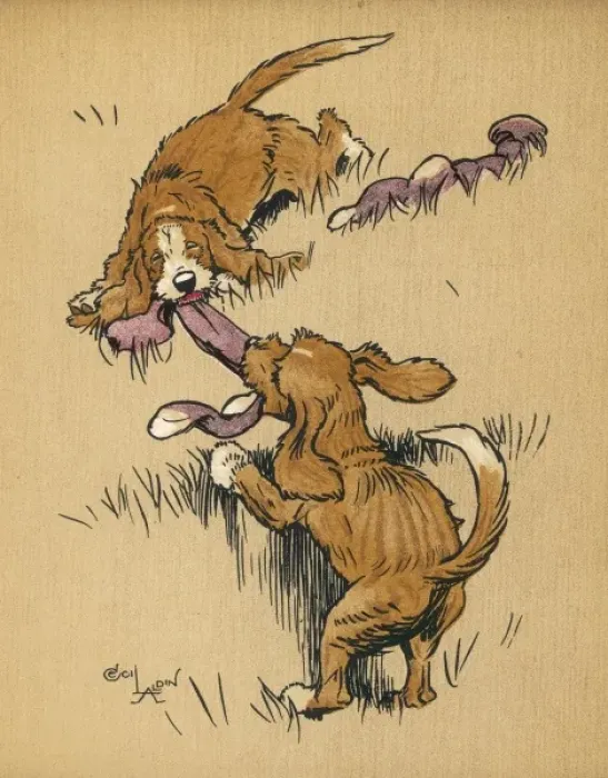 Framed Print : Twin puppies having a tug of war Framed Print : Twin puppies having a tug of war