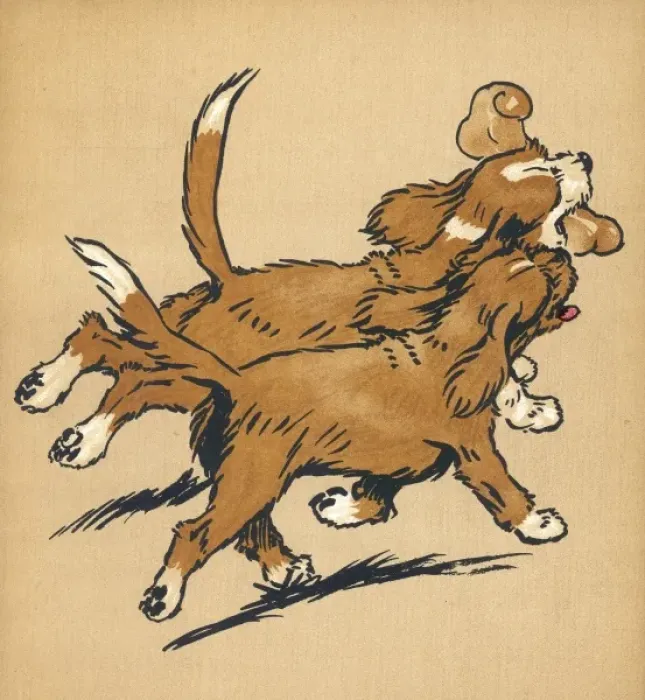 Framed Print : Twin puppies head home Framed Print : Twin puppies head home