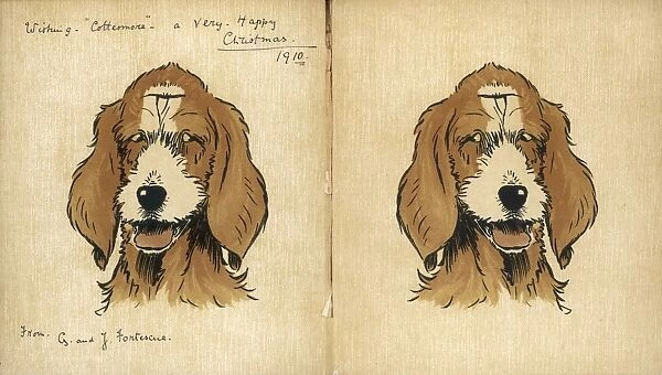 Twin puppies, inside cover