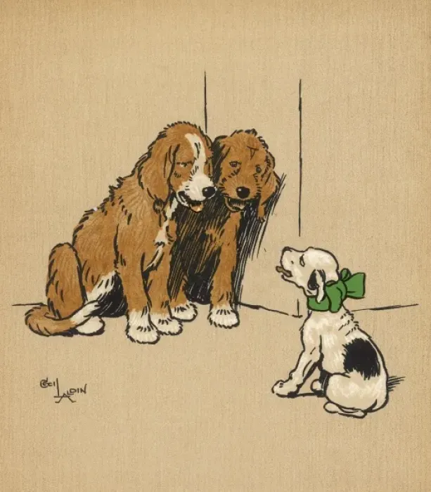 Framed Print : Twin puppies and a smaller puppy Framed Print : Twin puppies and a smaller puppy