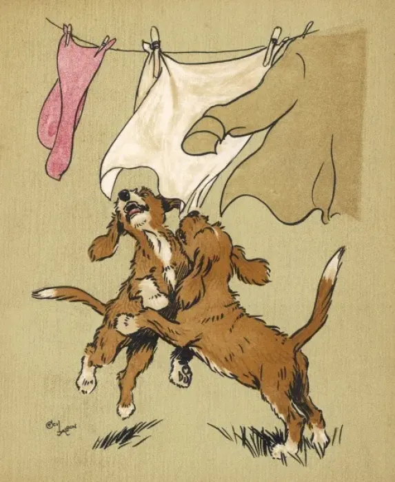 Framed Print : Twin puppies and washing line Framed Print : Twin puppies and washing line