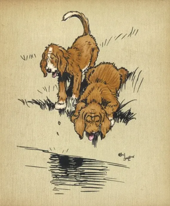 Framed Print : Twin puppies and water Framed Print : Twin puppies and water