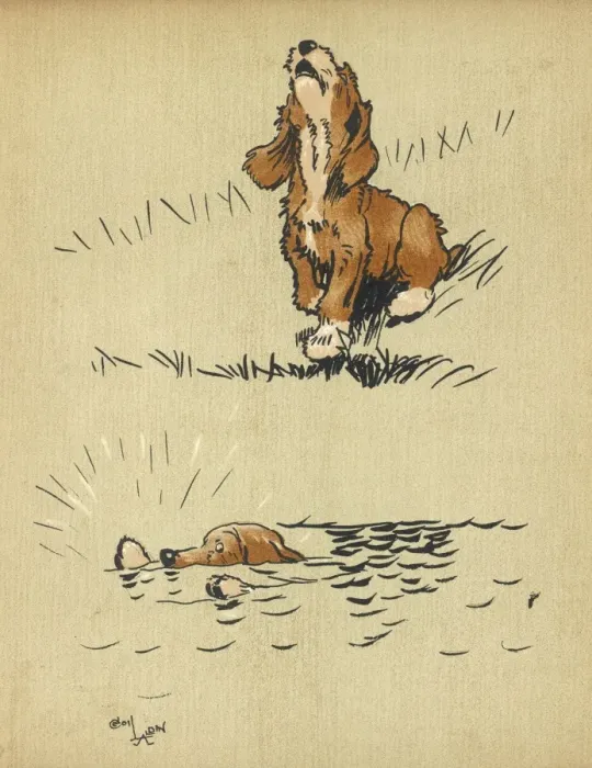Framed Print : Twin puppy falls into water