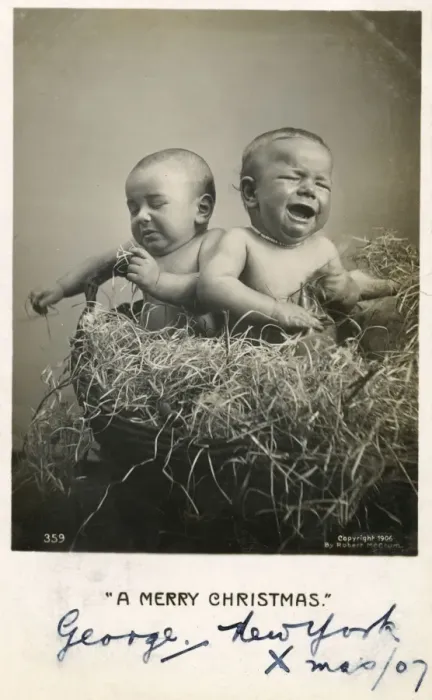 Framed Print : Twins in a Christmas basket Framed Print : Twins in a Christmas basket