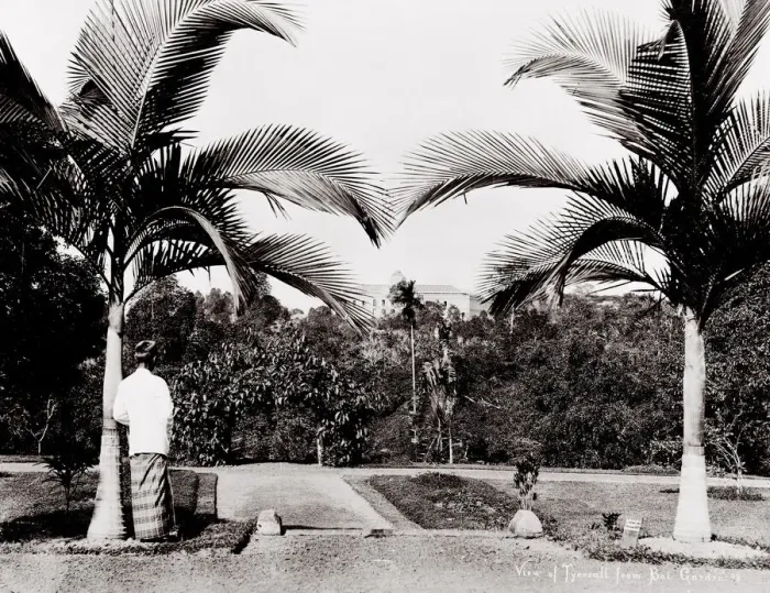 Framed Print : Tyersall from the Botanical Gardens Singapore Framed Print : Tyersall from the Botanical Gardens Singapore