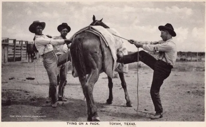 Framed Print : Tying on a pack, Toyah, Texas, USA Framed Print : Tying on a pack, Toyah, Texas, USA