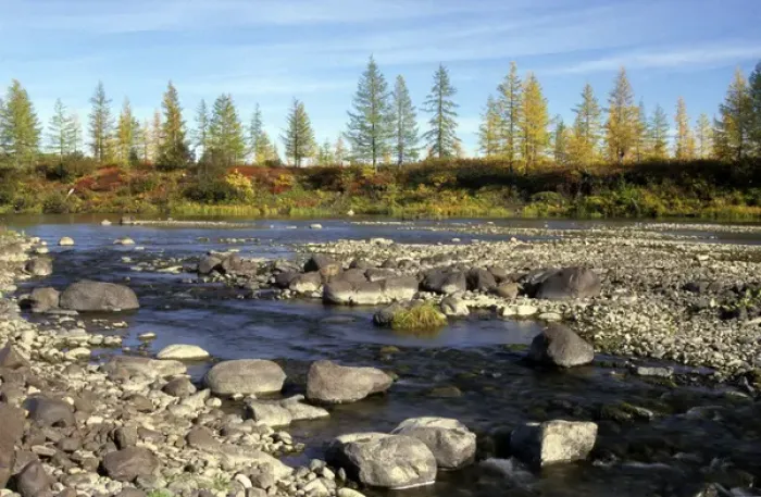 Framed Print : A typical small river in semi-tundra in autumn Framed Print : A typical small river in semi-tundra in autumn