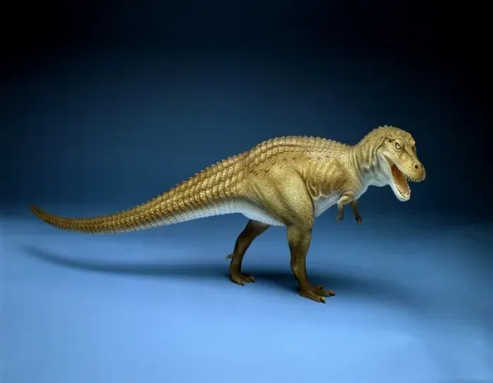 Framed Print : Tyrannosaurus rex Framed Print : Tyrannosaurus rex